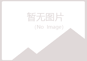 陕西夏岚金属有限公司